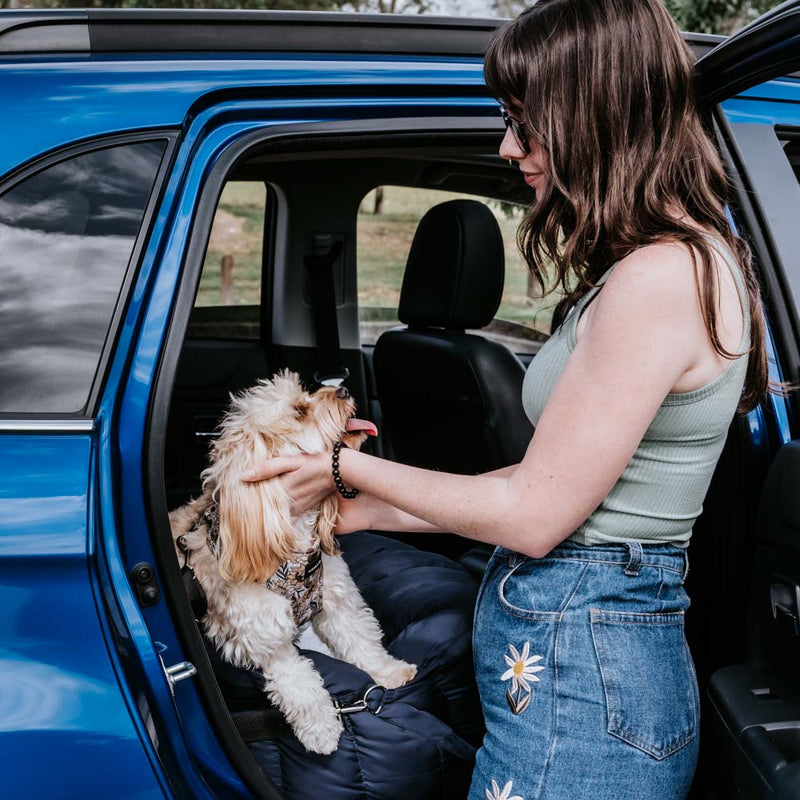 Woman putting dog in car with comfortable dog car seat